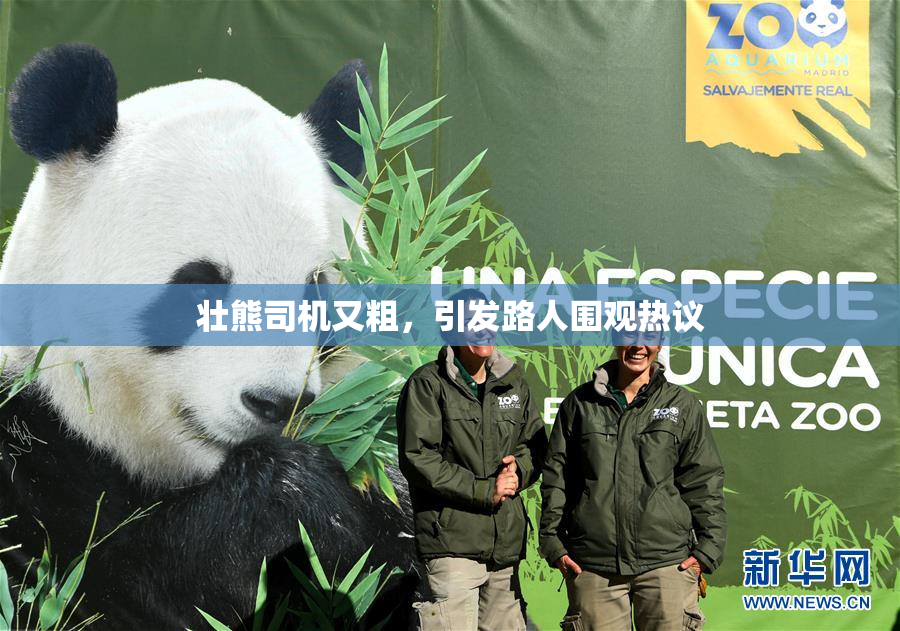 壮熊司机又粗，引发路人围观热议