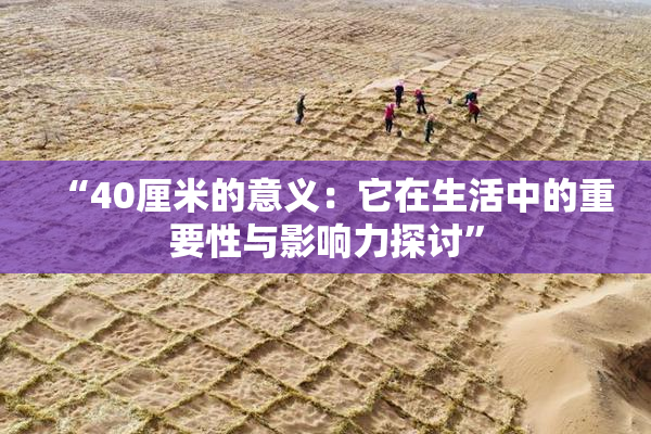 “40厘米的意义：它在生活中的重要性与影响力探讨”