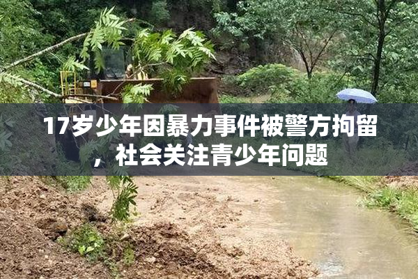 17岁少年因暴力事件被警方拘留，社会关注青少年问题