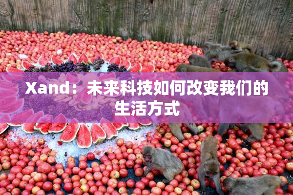 Xand：未来科技如何改变我们的生活方式