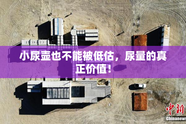 小尿壶也不能被低估，尿量的真正价值！