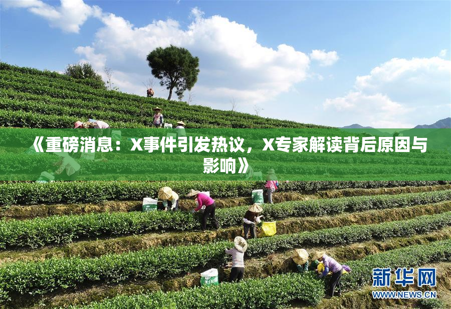 《重磅消息：X事件引发热议，X专家解读背后原因与影响》