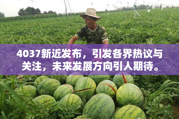 4037新近发布，引发各界热议与关注，未来发展方向引人期待。