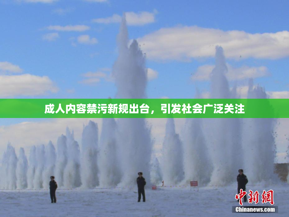 成人内容禁污新规出台，引发社会广泛关注