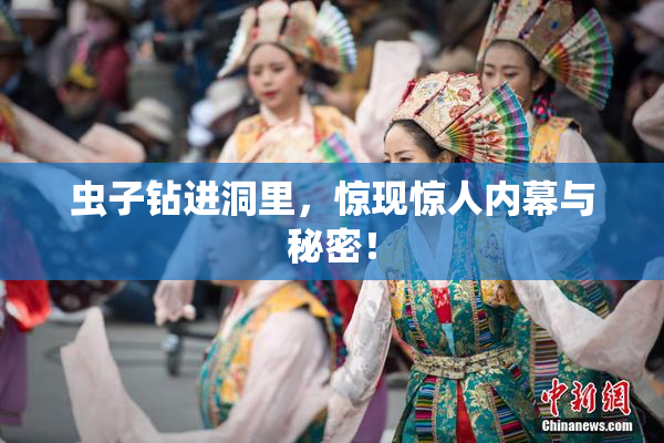 虫子钻进洞里，惊现惊人内幕与秘密！