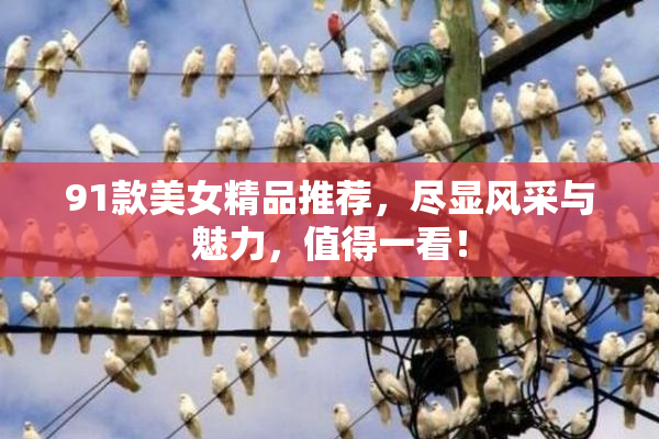 91款美女精品推荐，尽显风采与魅力，值得一看！