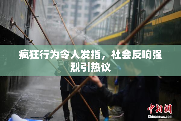 疯狂行为令人发指，社会反响强烈引热议