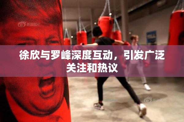 徐欣与罗峰深度互动，引发广泛关注和热议