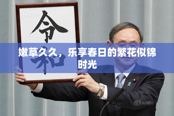 嫩草久久，乐享春日的繁花似锦时光