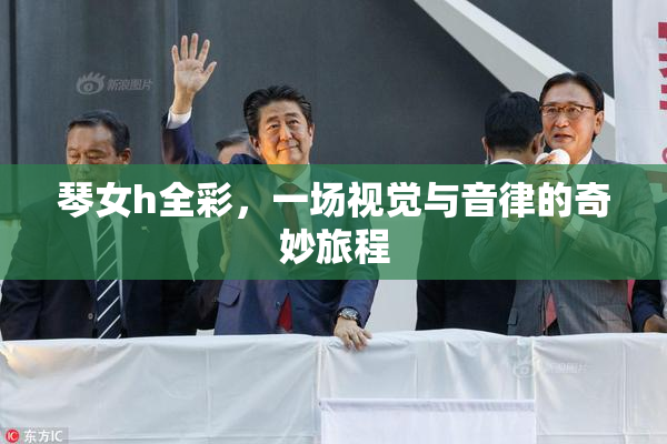 琴女h全彩，一场视觉与音律的奇妙旅程