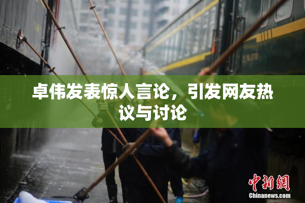 卓伟发表惊人言论，引发网友热议与讨论