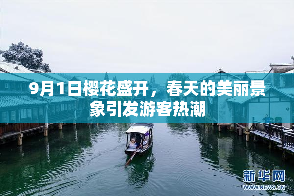 9月1日樱花盛开，春天的美丽景象引发游客热潮