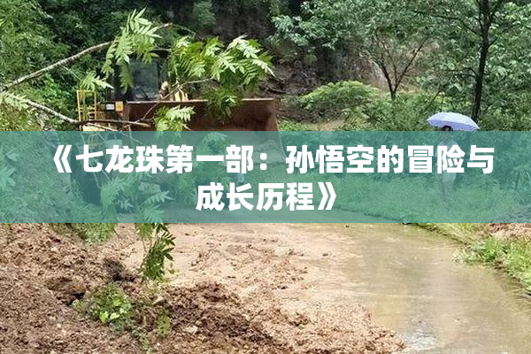 《七龙珠第一部：孙悟空的冒险与成长历程》