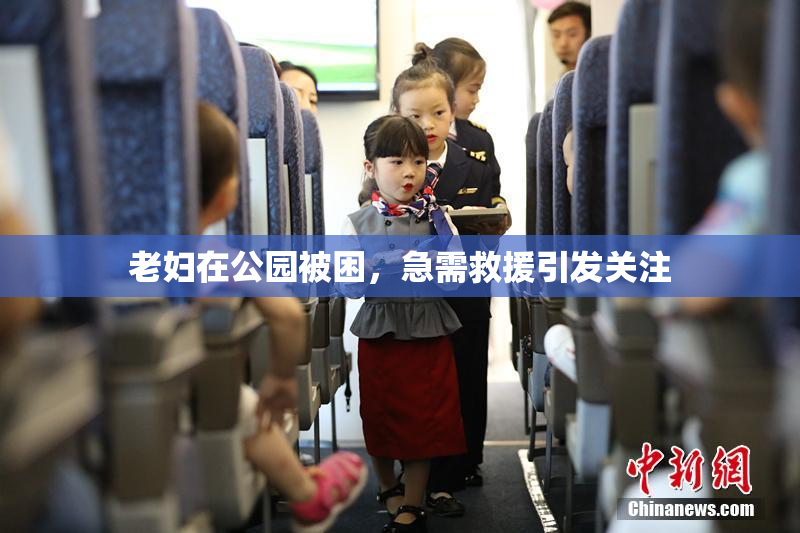 老妇在公园被困，急需救援引发关注