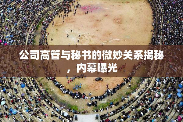 公司高管与秘书的微妙关系揭秘，内幕曝光