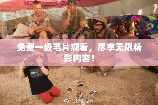 免费一级毛片观看，尽享无限精彩内容！
