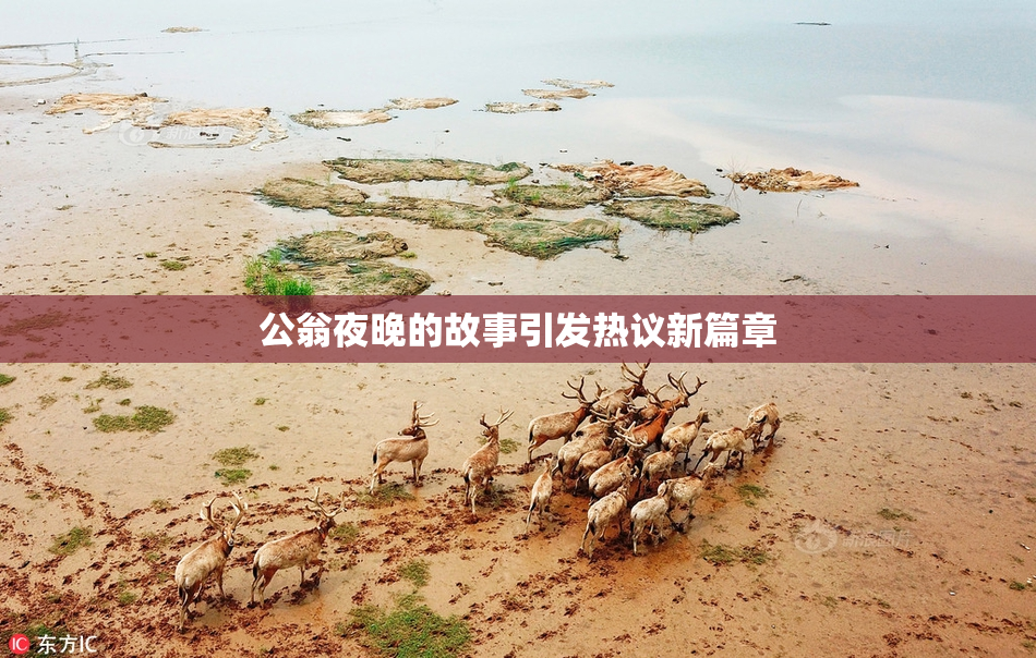 公翁夜晚的故事引发热议新篇章
