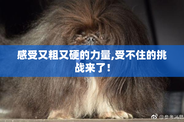 感受又粗又硬的力量,受不住的挑战来了！