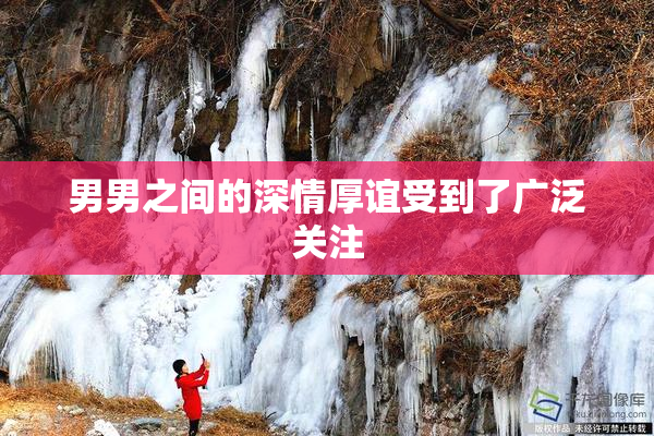 男男之间的深情厚谊受到了广泛关注