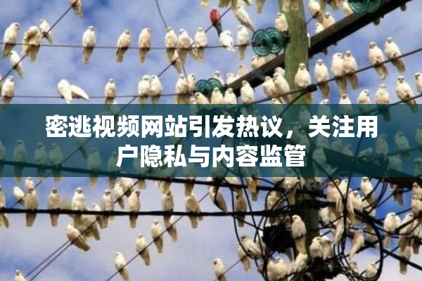 密逃视频网站引发热议，关注用户隐私与内容监管
