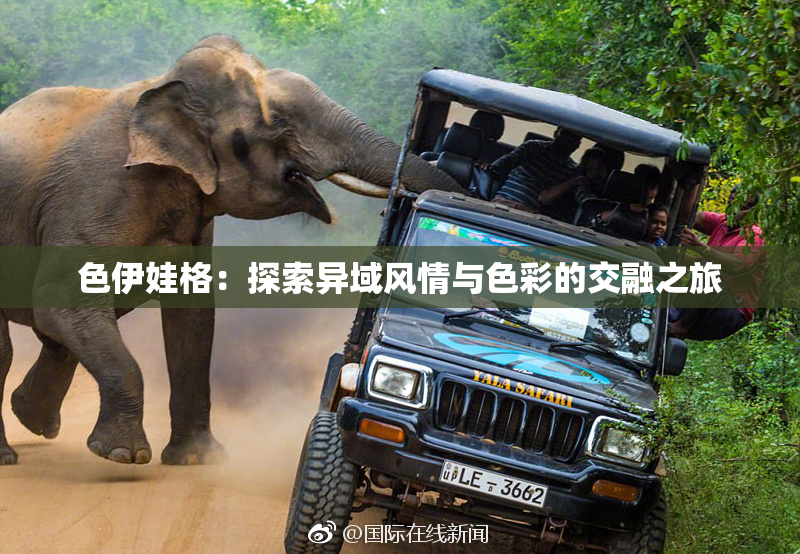 色伊娃格：探索异域风情与色彩的交融之旅