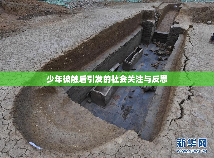 少年被触后引发的社会关注与反思
