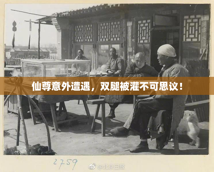 仙尊意外遭遇，双腿被灌不可思议！