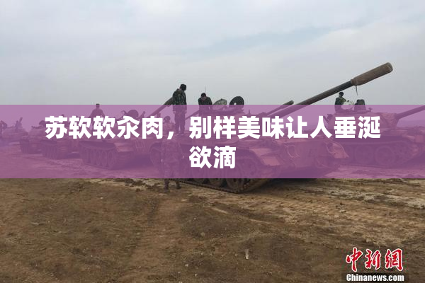 苏软软汆肉，别样美味让人垂涎欲滴
