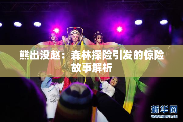 熊出没赵：森林探险引发的惊险故事解析