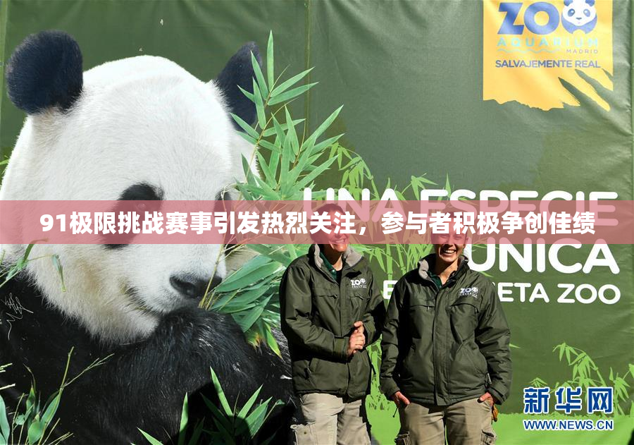 91极限挑战赛事引发热烈关注，参与者积极争创佳绩