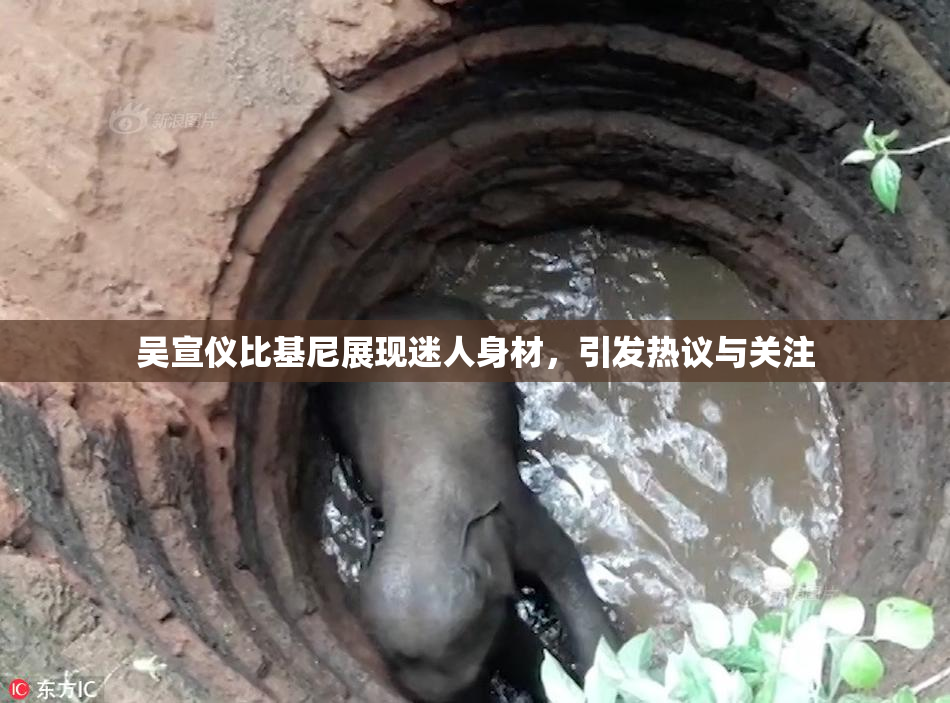 吴宣仪比基尼展现迷人身材，引发热议与关注