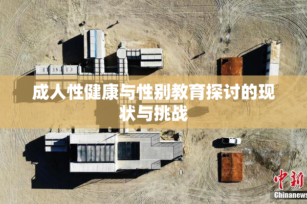 成人性健康与性别教育探讨的现状与挑战