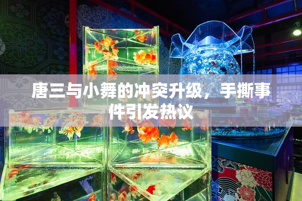 唐三与小舞的冲突升级，手撕事件引发热议