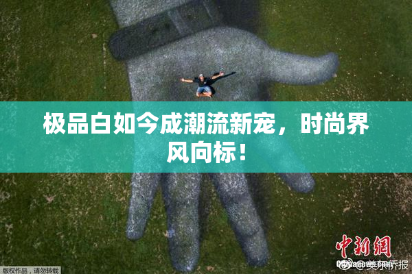 极品白如今成潮流新宠，时尚界风向标！