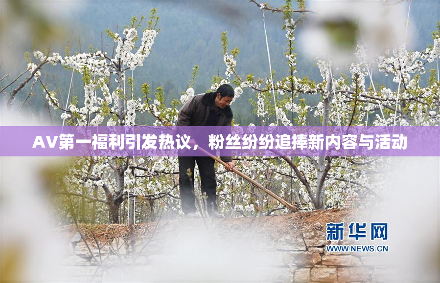 AV第一福利引发热议，粉丝纷纷追捧新内容与活动