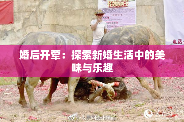 婚后开荤：探索新婚生活中的美味与乐趣