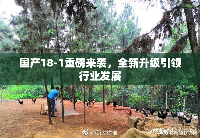 国产18-1重磅来袭，全新升级引领行业发展