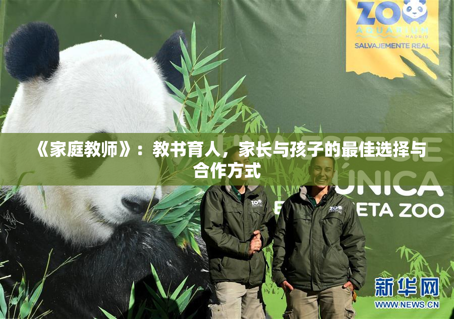 《家庭教师》：教书育人，家长与孩子的最佳选择与合作方式