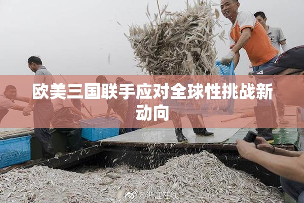 欧美三国联手应对全球性挑战新动向