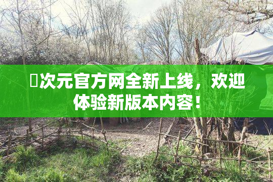 囧次元官方网全新上线，欢迎体验新版本内容！