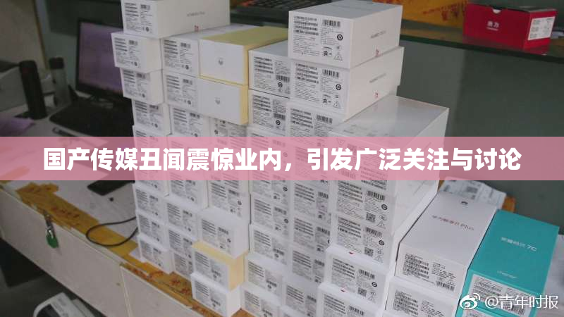 国产传媒丑闻震惊业内，引发广泛关注与讨论