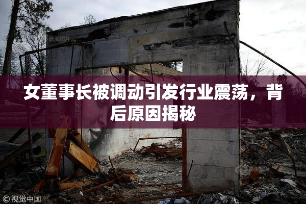女董事长被调动引发行业震荡，背后原因揭秘