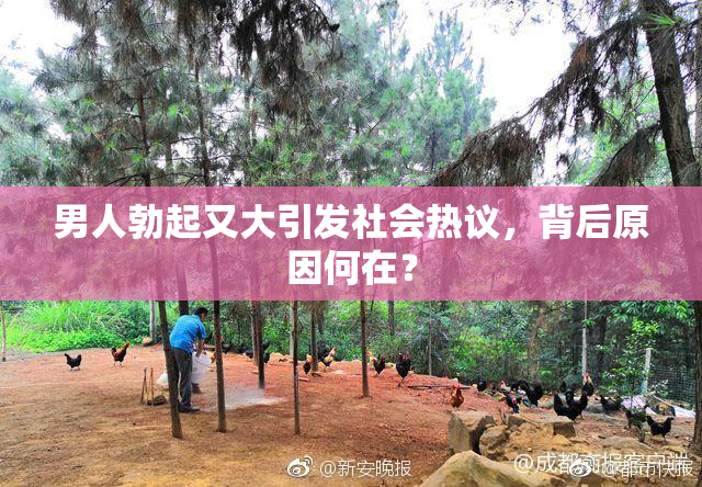 男人勃起又大引发社会热议，背后原因何在？