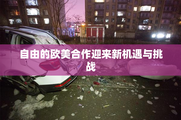 自由的欧美合作迎来新机遇与挑战