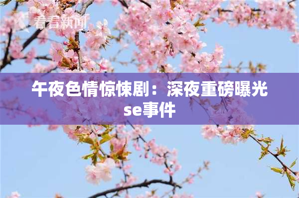 午夜色情惊悚剧：深夜重磅曝光se事件