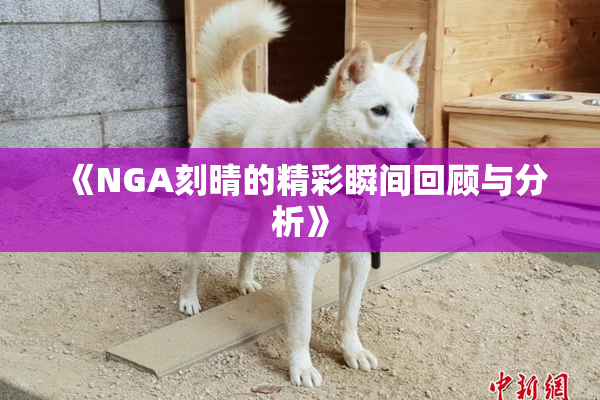 《NGA刻晴的精彩瞬间回顾与分析》