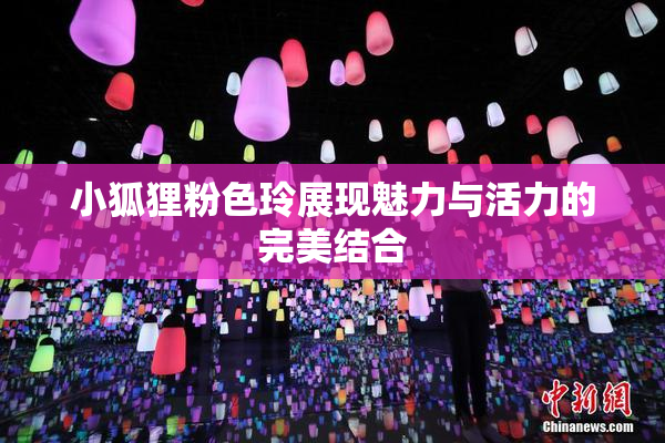 小狐狸粉色玲展现魅力与活力的完美结合