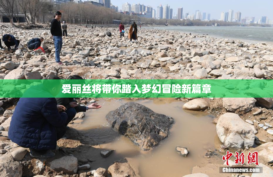 爱丽丝将带你踏入梦幻冒险新篇章