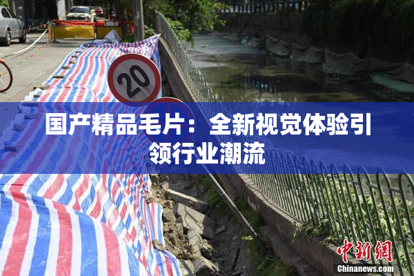 国产精品毛片：全新视觉体验引领行业潮流