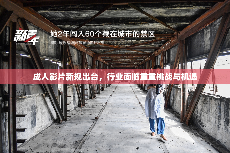 成人影片新规出台，行业面临重重挑战与机遇